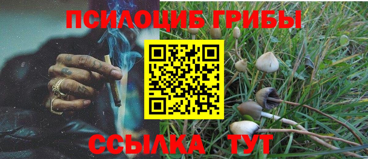 Галлюциногенные грибы Magic Shrooms  Галлюциногенные грибы GOLDEN TEACHER  Лосино-Петровский  Вход с VPN 